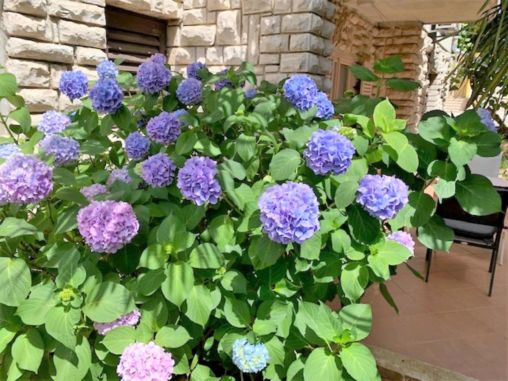 Villa Mihaela Poreč Cameră foto